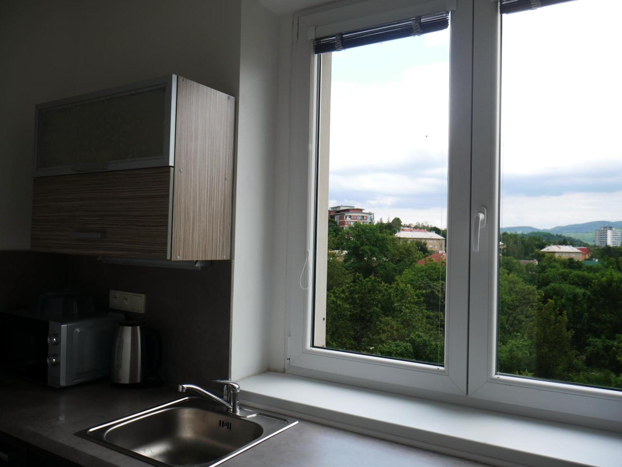 Ubytovani Stara Ústí nad Labem Dış mekan fotoğraf